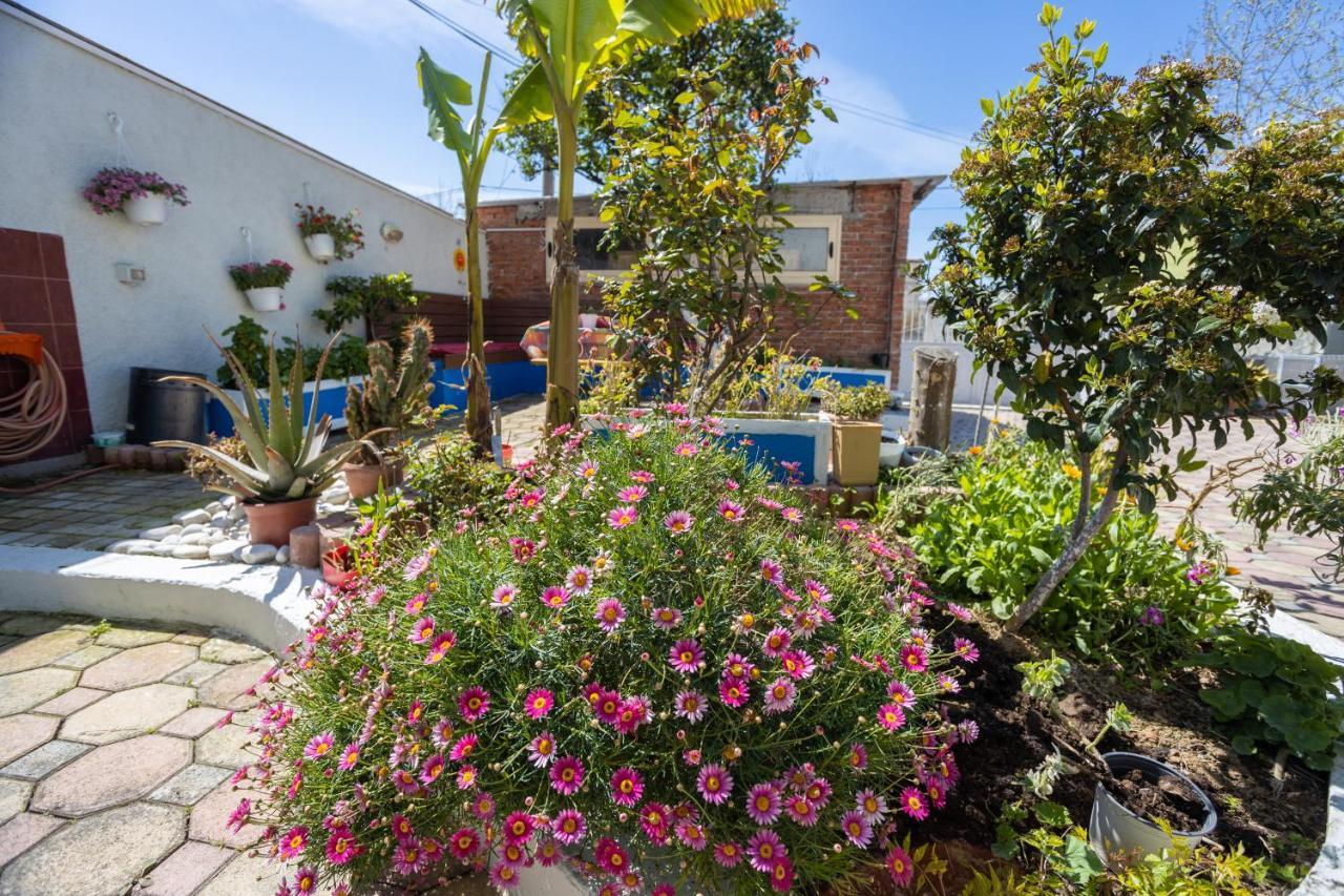 Vila Aulona Vlorë Exterior foto